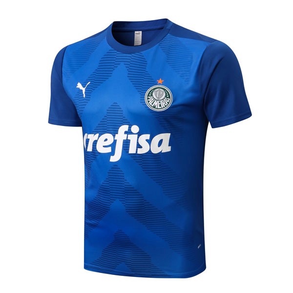 Entrenamiento Palmeiras 2022-2023 Azul